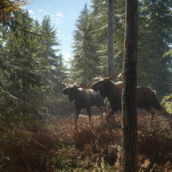 theHunter: Call of the Wild zdarma na EPICu