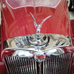 Pár fotek automobilových veteránů…