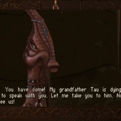 Zahrajem (hra měsíce): Lost Eden