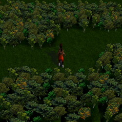 Konzolové „heroesy“ – Heroes of Might and Magic: Quest for the DragonBone Staff