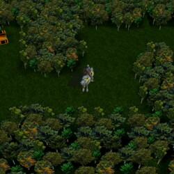 Konzolové „heroesy“ – Heroes of Might and Magic: Quest for the DragonBone Staff