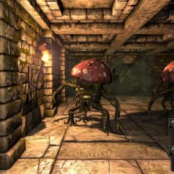 Legend of Grimrock již zítra!